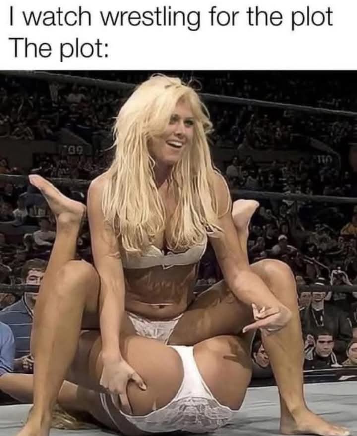 I watch wrestling for the plot - The plot Torrie Wilson bra and panties match