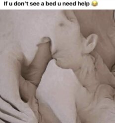 If u don't see a bed u need help