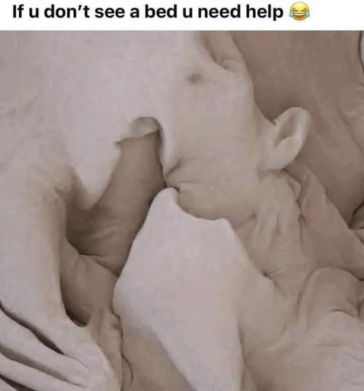 If u don't see a bed u need help