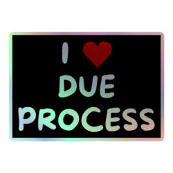 I LOVE DUE PROCESS Holographic sticker
