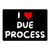 I LOVE DUE PROCESS Sticker