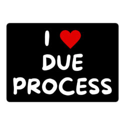 I LOVE DUE PROCESS Sticker