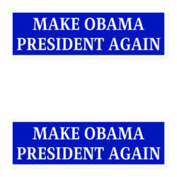 MAKE OBAMA PRESIDENT AGAIN Stickers