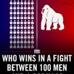 100 men vs gorilla