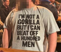 I'm Not A Gorilla But I Can Beat Off A Hundred Man T-shirt
