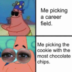 Me picking a career field