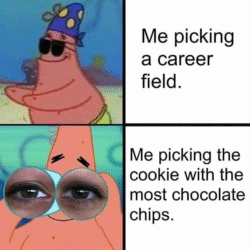 Me picking a career field