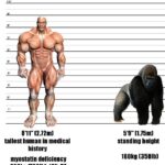 Natty Limit of Human Race vs Random Gorilla