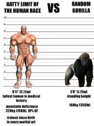 Natty Limit of Human Race vs Random Gorilla