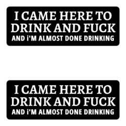 I CAME HERE TO DRINK AND FUCK Stickers