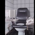 Bathroom shitter throne office