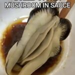 Boiled Oyster Mushroom in sauce