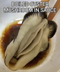 Boiled Oyster Mushroom in sauce