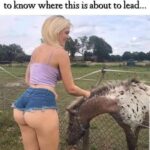 Girl with Pony