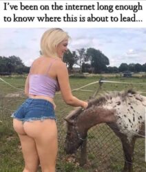 Girl with Pony