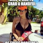 Who'd Like To Grab a Handful of these Doritos - Huge Boobs bikini meme