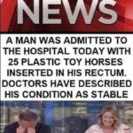 25 plastic toy horses in the ass but his condition is stable