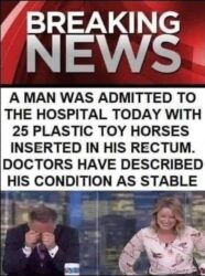 25 plastic toy horses in the ass but his condition is stable