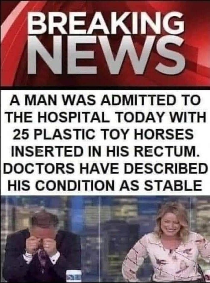 25 plastic toy horses in the ass but his condition is stable