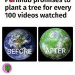 Pornhub promises to plant a tree for every 100 videos watched - I will single handedly save the world
