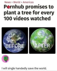 Pornhub promises to plant a tree for every 100 videos watched - I will single handedly save the world