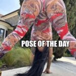 Pose Of The Day