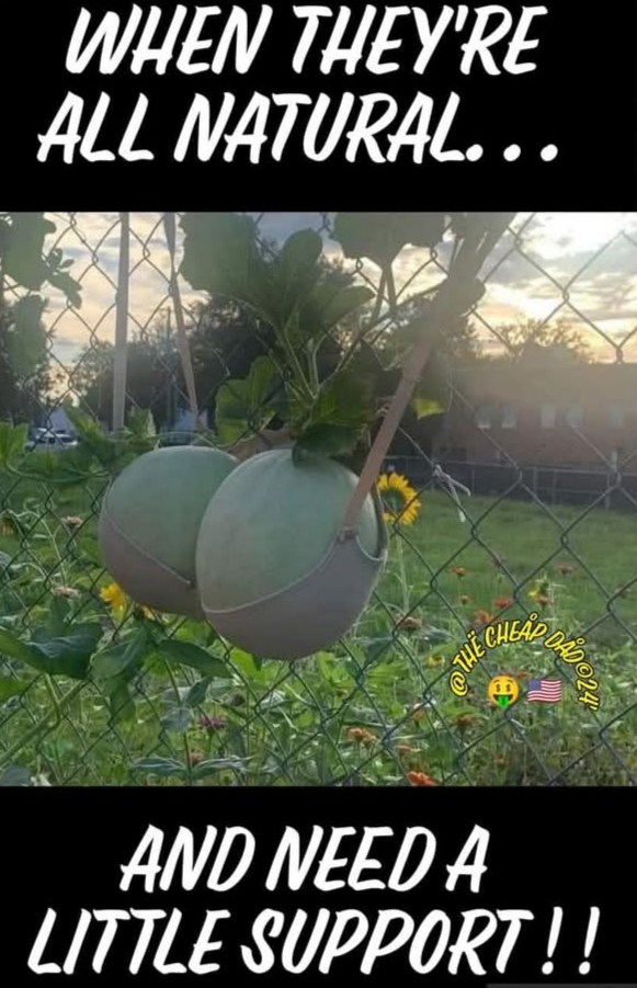 When they're all natural and need a little support - Boobs bra mellon meme