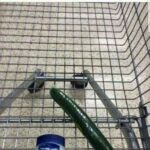 cucumber and vaseline