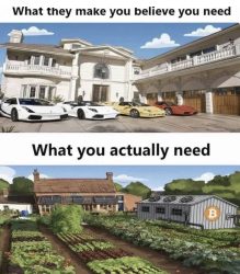 Lambo Bitcoin sovereignty