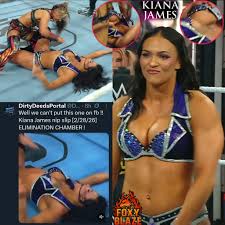 Kiana James wardrobe nipslip Elimination Chamber wwe
